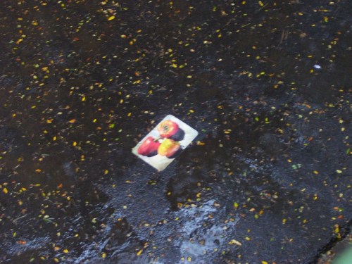 internauts-hashtags-and-knee-jerk-reactions